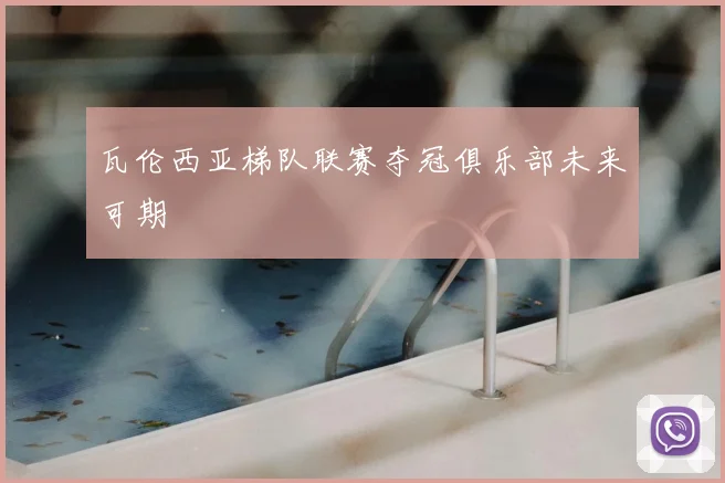 瓦伦西亚梯队联赛夺冠俱乐部未来可期